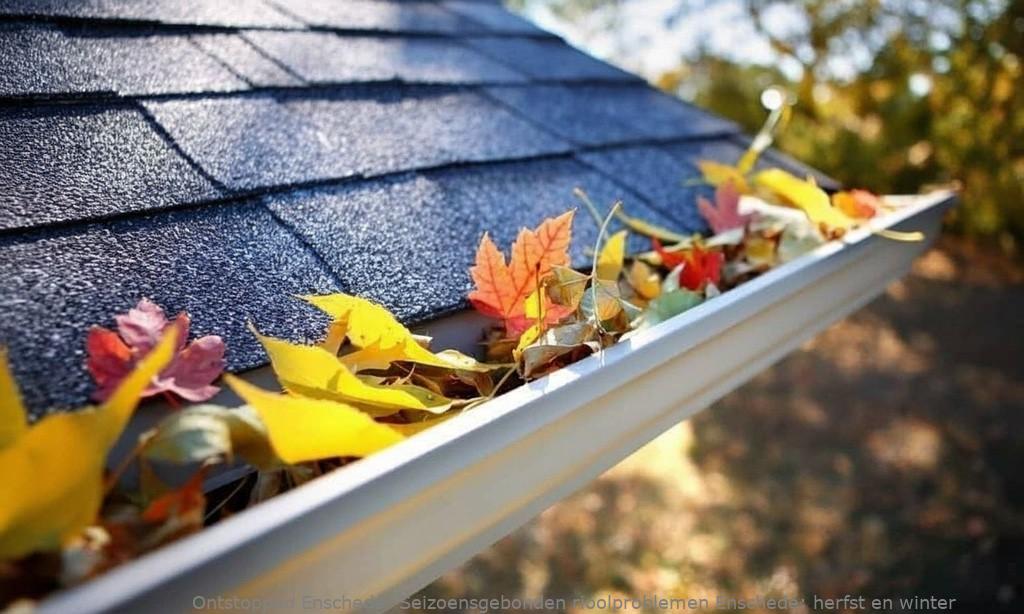 Seizoensgebonden rioolproblemen Enschede: herfst en winter
